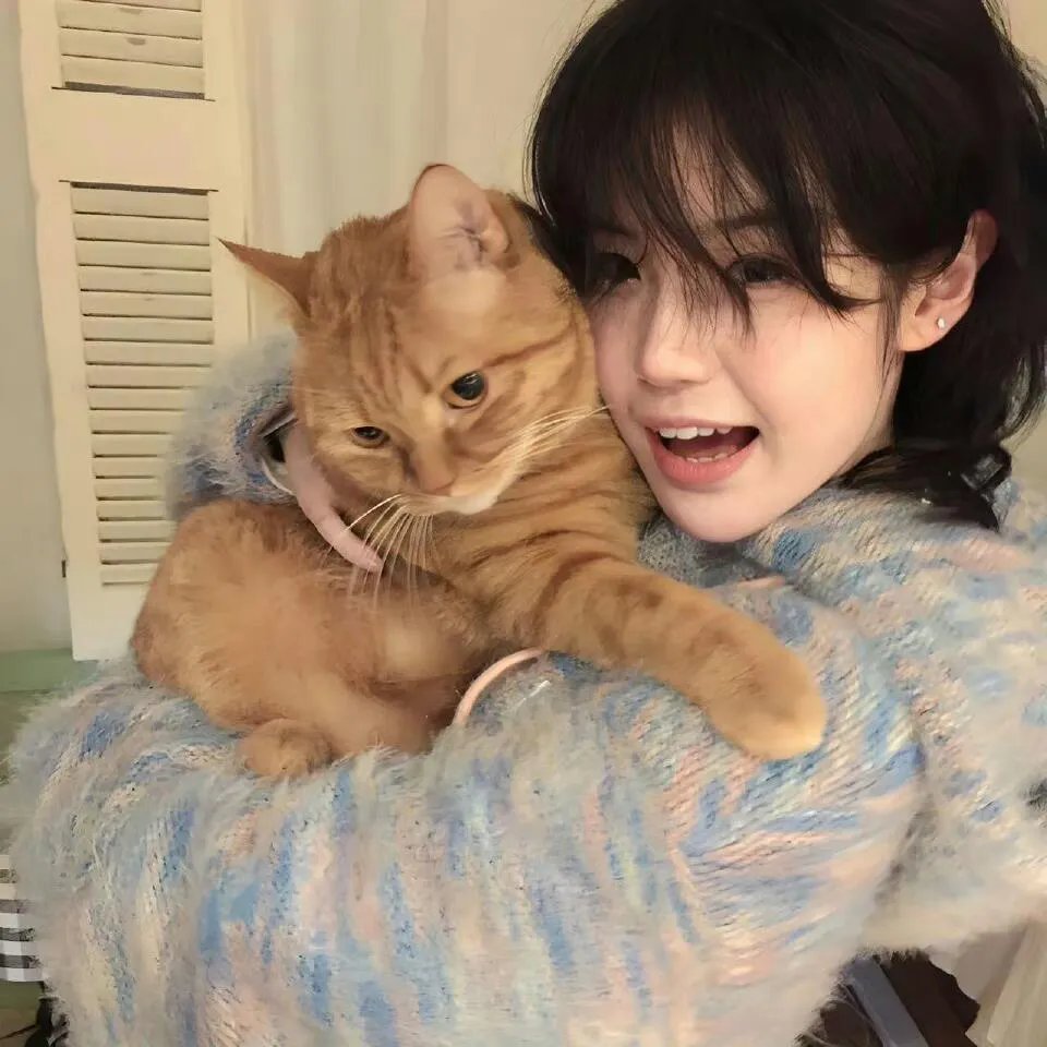 小饭桌的故事第一季